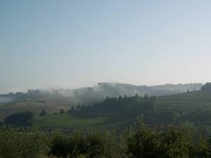 Italian vineyards at 8 a.m.